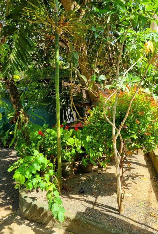 Helena Holiday Cottage Dikwella Exterior foto